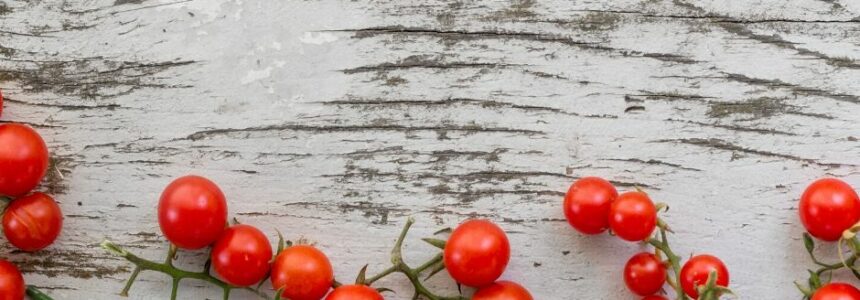 Pomodoro techniek- hulp bij de moeilijke start!